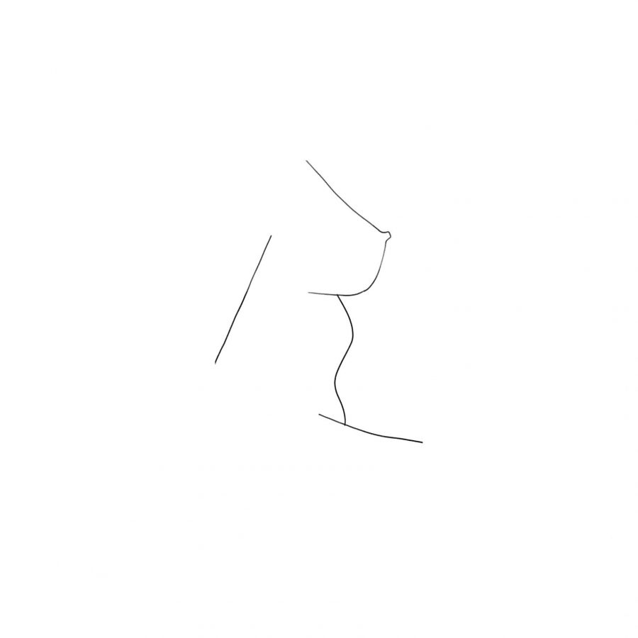 Le Nu et la Ligne
